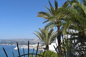 Morportet 047